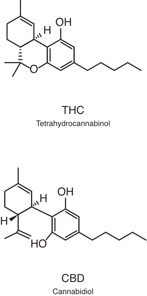 Tetrahydrocannabinol (THC) and Cannabidiol (CBD) molecule diagram